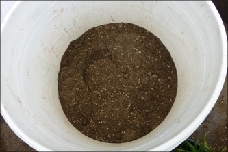 Grass seed mixed with compost can be topdressed over thin areas.