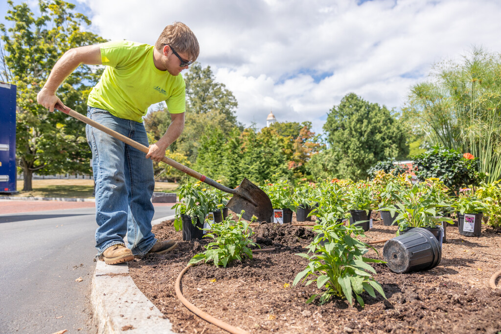 Someone using a shovel to plant perennials